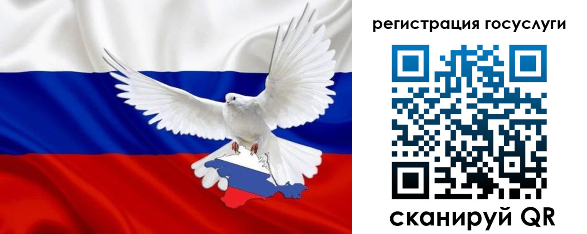 прописка законно в Ростове